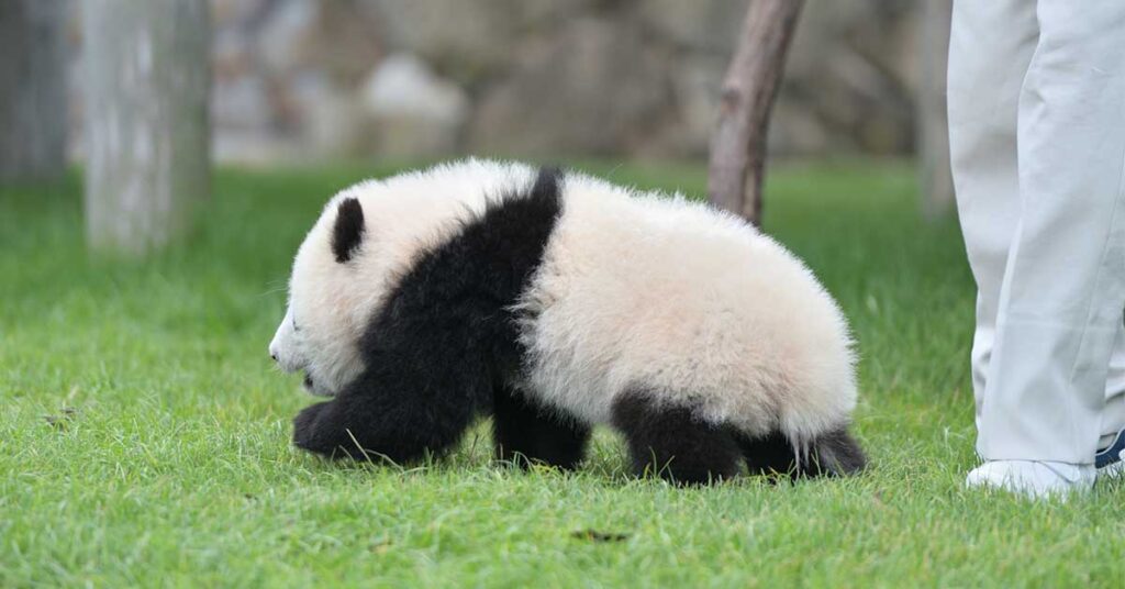 離婚後の生活費を確保するために必要な準備とは